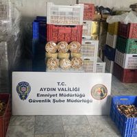 Aydın