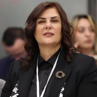 Efeler