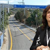 Aydın