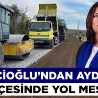 Aydın