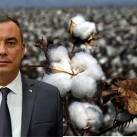 Aydın