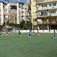 Spor