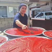 Aydın