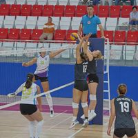 Spor