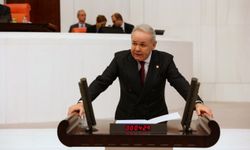 Sezgin, kabinede mi yer alacak?