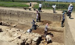 Aydın’daki tarihi höyükte tarım yapma talebi