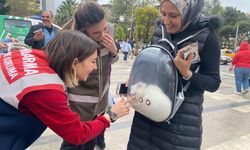 Aydın’daki sokak hayvanları için anlamlı etkinlik