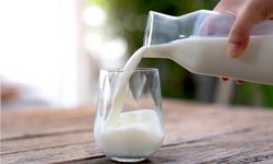 Türkiye'de 2023'te 21,5 milyon ton çiğ süt üretildi