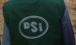 Devlet Su İşleri Genel Müdürlüğü 908 sürekli işçi alacak