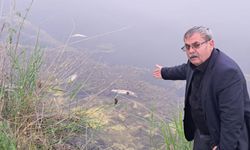 Aydın’ın tek doğal gölünde toplu balık ölümleri başladı