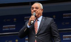 "Konjonktür gereği İstanbul'dan seçildim, Aydın'ın vekiliyim"