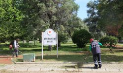 Efeler'in yeşil ekipleri bahar temizliğini sürdürüyor