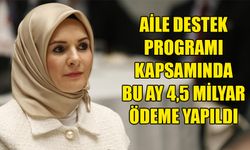 Aile Destek Programıyla bu ay 4,5 milyar ödeme yapıldı