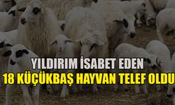 Yıldırım isabet eden 18 küçükbaş hayvan telef oldu