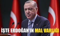İşte Erdoğan’ın mal varlığı