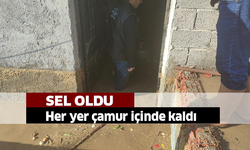 Bir kenti sel vurdu her yer çamur içinde kaldı