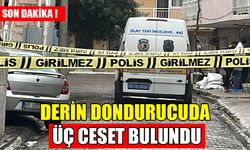 Bir evde yabancı uyruklu 3 kişinin cesedi bulundu