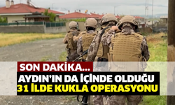 Aydın'ın da içinde olduğu 31 ilde Kukla Operasyonu