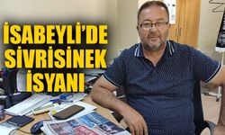 Muhtar Çelik yetkililere seslendi