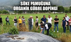 Sökeli üreticiler organik gübre üretecek