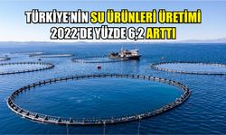 Türkiye'nin su ürünleri üretimi 2022'de yüzde 6,2 arttı