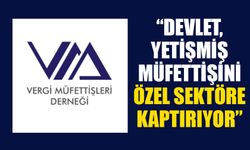 “Devlet, yetişmiş müfettişini özel sektöre kaptırıyor”