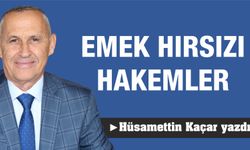 EMEK HIRSIZI HAKEMLER....