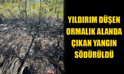 Yıldırım isabet eden ormanlık alanda çıkan yangın söndürüldü