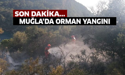 Muğla'da orman yangını