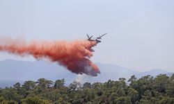 Fethiye'de çıkan orman yangını kontrol altına alındı