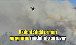 Akdeniz'deki orman yangınına müdahale sürüyor