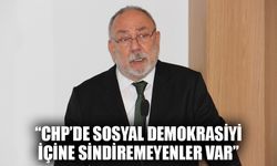 CHP’li Petek’ten ‘sosyal demokrasi’ vurgusu