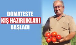 Domateste kış hazırlıkları başladı