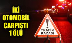 İki otomobilin çarpışması sonucu 1 kişi öldü