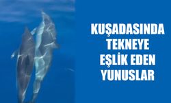 Kuşadası'nda tekneye eşlik eden yunuslar görüntülendi