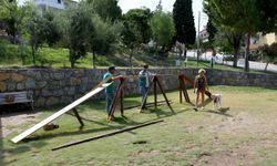 Kuşadası Belediyesi'nden can dostların park alanlarında bakım çalışması