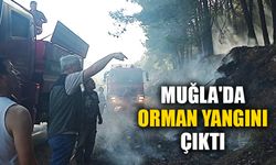 Muğla Menteşe'de orman yangını çıktı