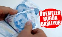 Türkiye Aile Destek Programı ödemeleri bugün hesaplara yatacak