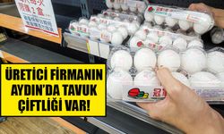 Tayvan’a ithal edilen yumurtalarda kanserojen madde tespit edildi