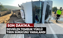 Muğla'da devrilen tomruk yüklü tırın sürücüsü yaralandı