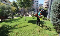 Nazilli Belediye Meydanı'nda yoğun mesai