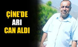 Çine’de arı can aldı