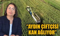 Genişel’den ‘dış alım yasağı’ çağrısı