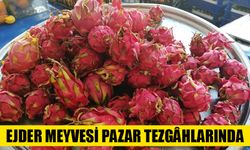 Ejder meyvesi pazar tezgâhlarında