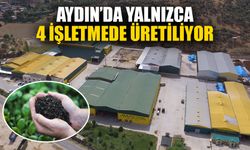 Aydın’ın tarımsal üretimine değer katıyorlar