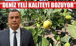 İncir üreticisinin ‘poyraz’ beklentisi