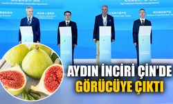 Aydın İnciri Çin’de görücüye çıktı