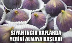 Taze incir ihracatında hedef 100 milyon dolar