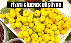 Nazilli inciri tezgahlarda bollaştı