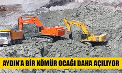 Aydın’daki ormanlık alana kömür ocağı açacaklar